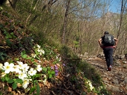 16 tra i fiori di primavera...